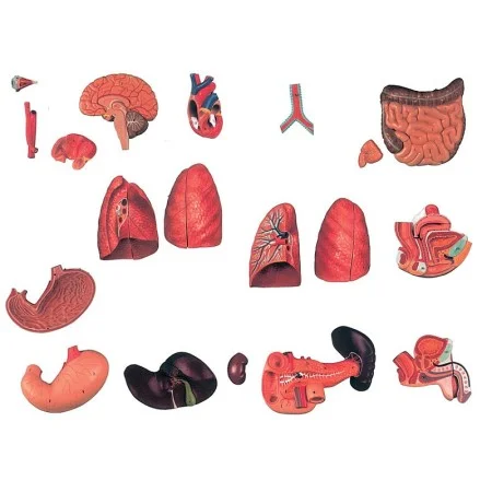 medicalistore202605291439481437606