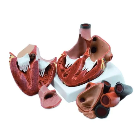 medicalistore202605291440341437674