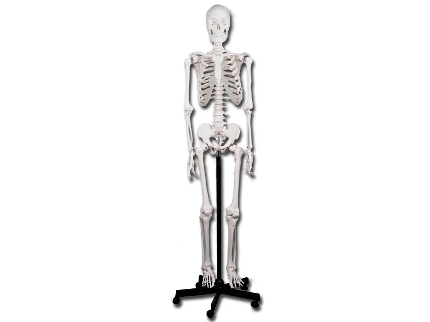 nimedixmedical202605291219081430295