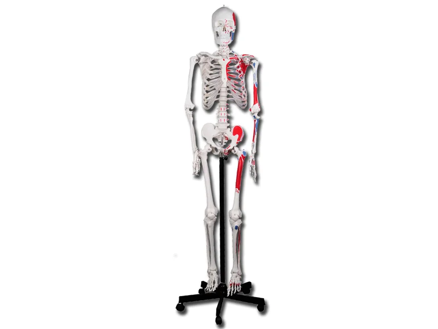 nimedixmedical202605291219101430299