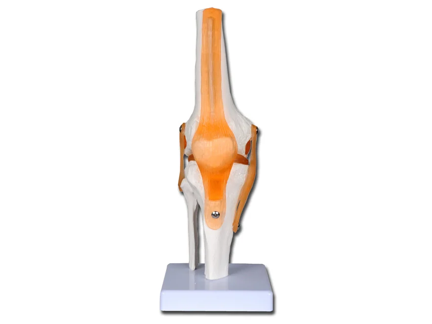 nimedixmedical202605291219201430314