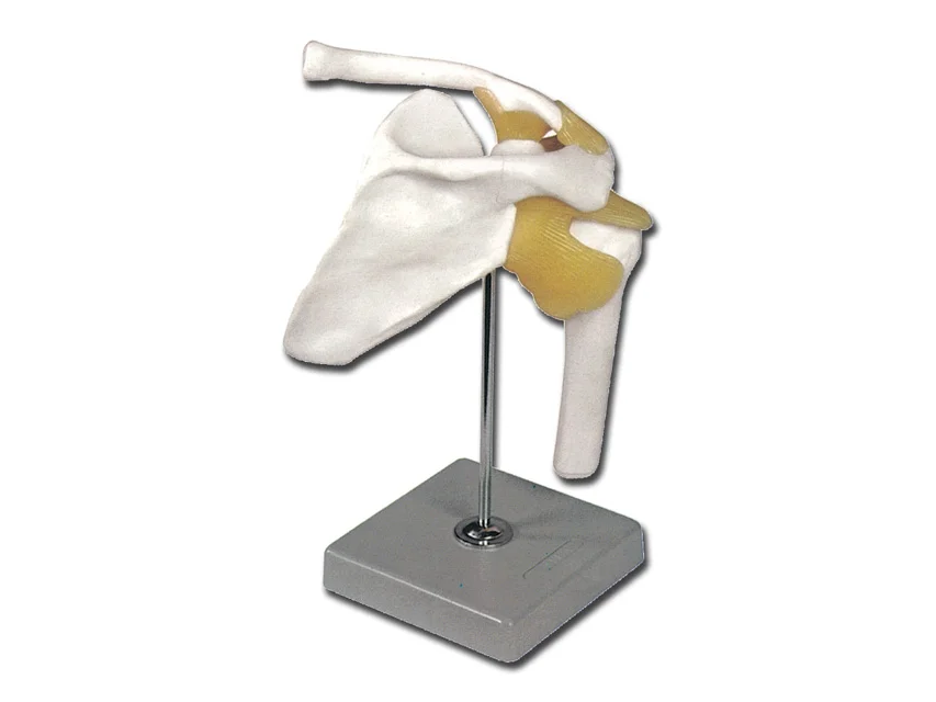 nimedixmedical202605291219211430315